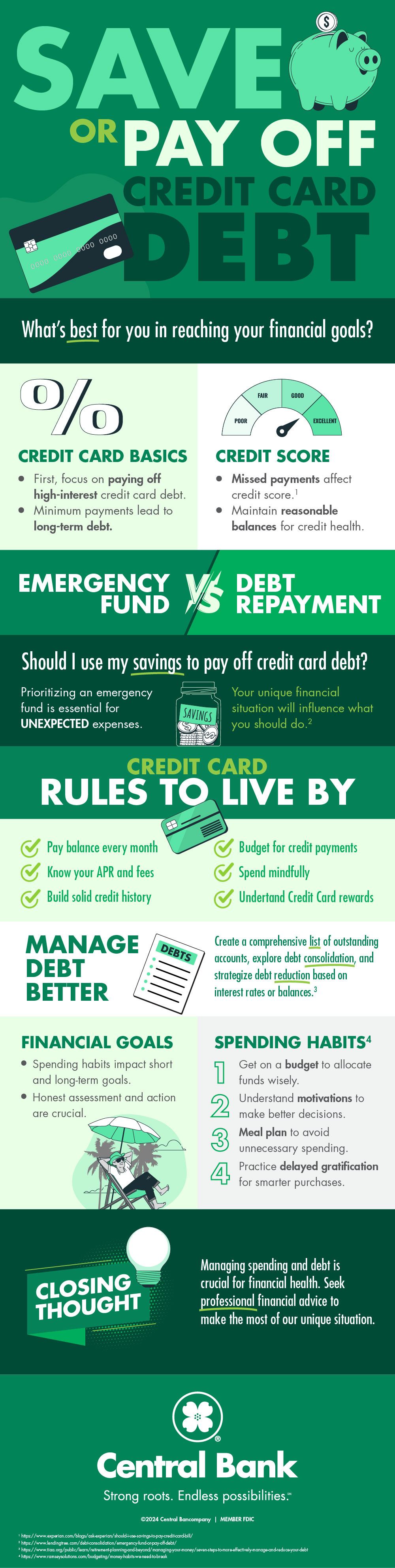 Emergency Savings Vs Credit Card Debt
