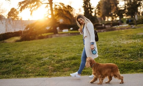 Young woman walking a dog