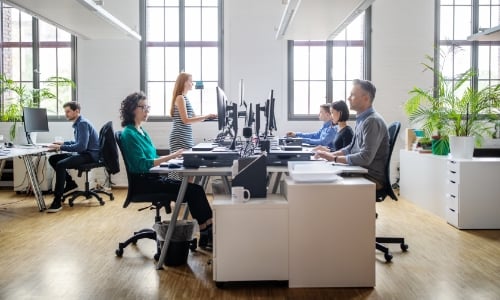 A group of employees sitting at desks and working