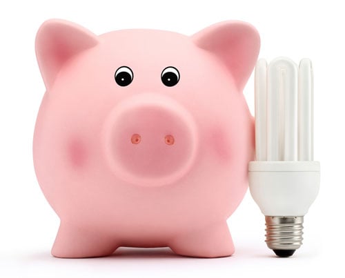 A piggy bank with energy savings light bulb