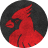 STL cardinals card design thumbnail