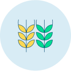 Agriculture Icon