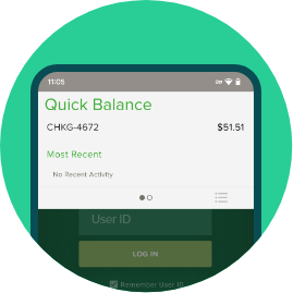 app screen showing Quick Balance