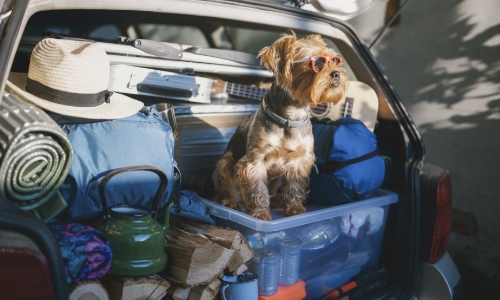 A car packed with items for a trip