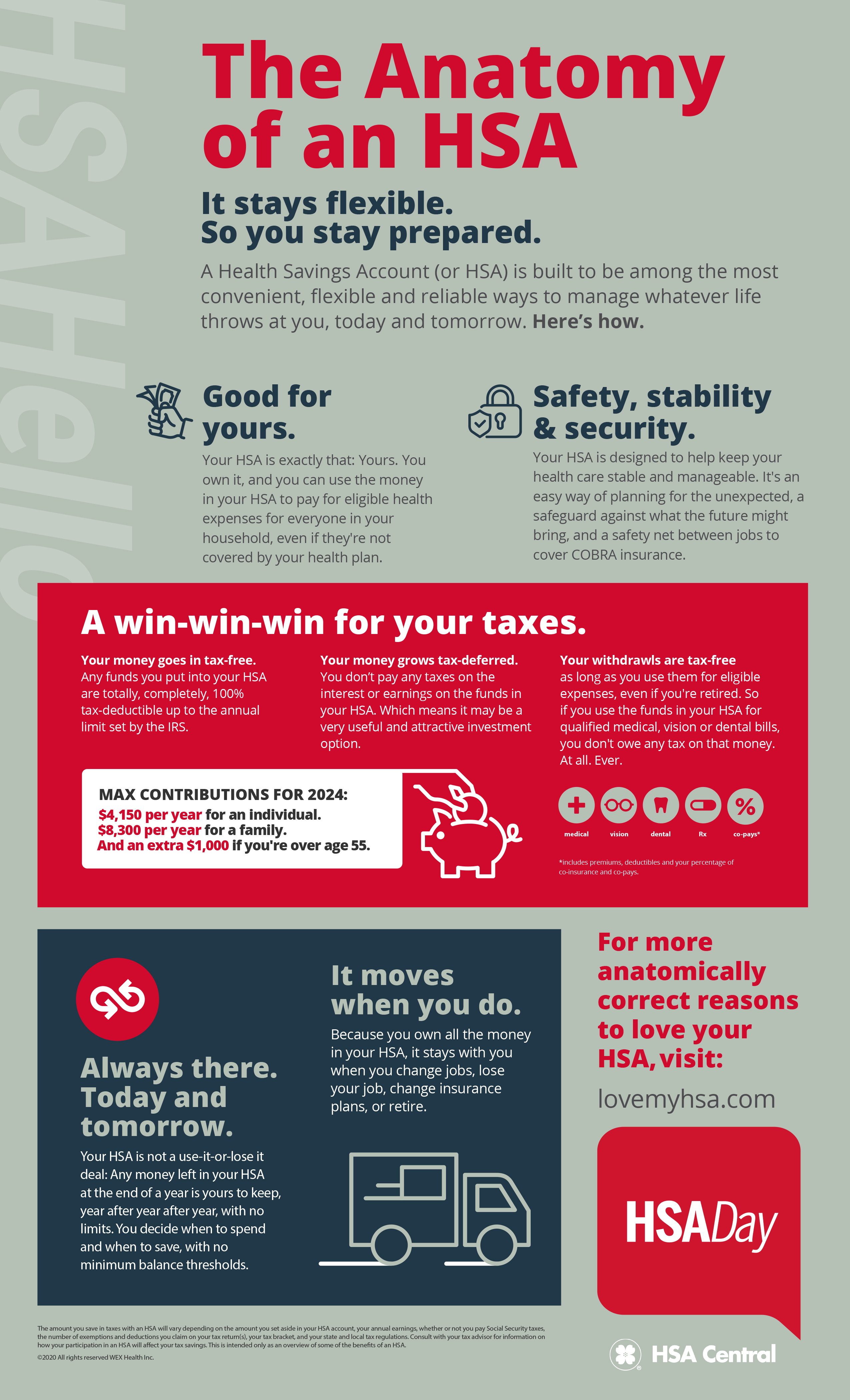 Anatomy of an HSA infographic